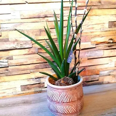 펜션 Le Temps D'une Pause *