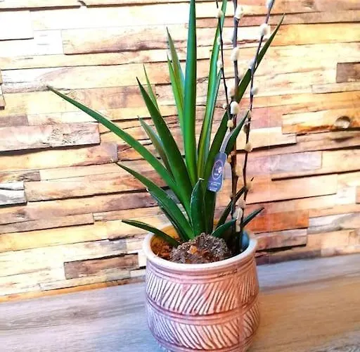 Hébergement de vacances Le Temps D'une Pause *